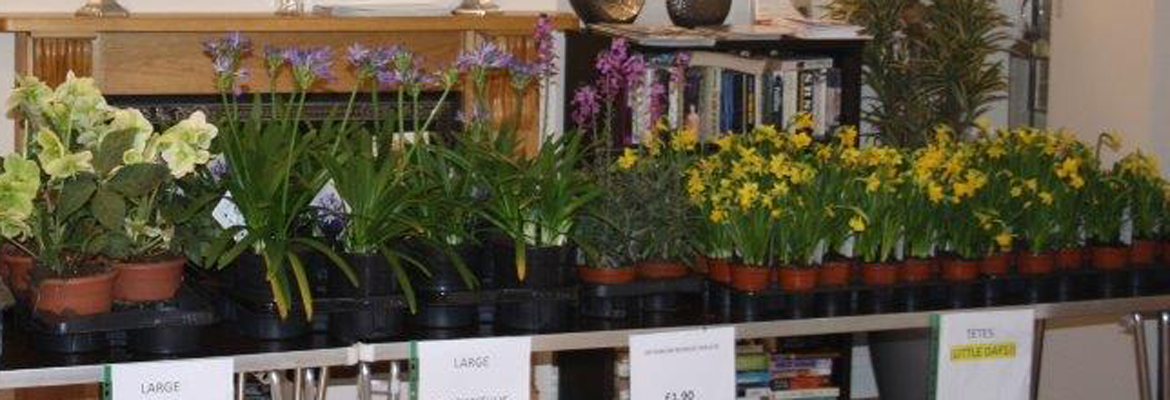 Plants Galore at The Croft