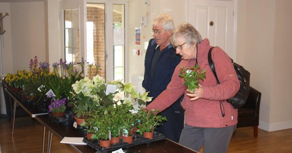 Plants Galore at The Croft