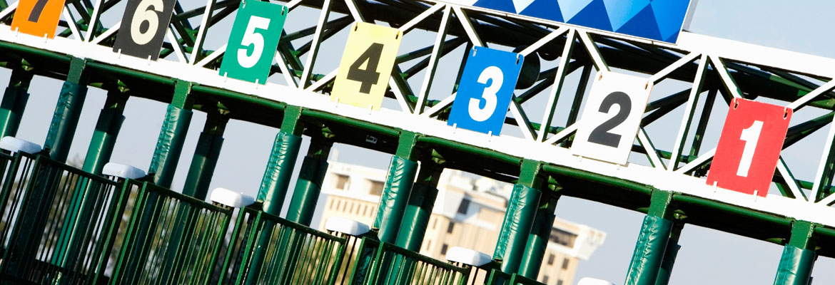 Racing away at The Croft in Bourne