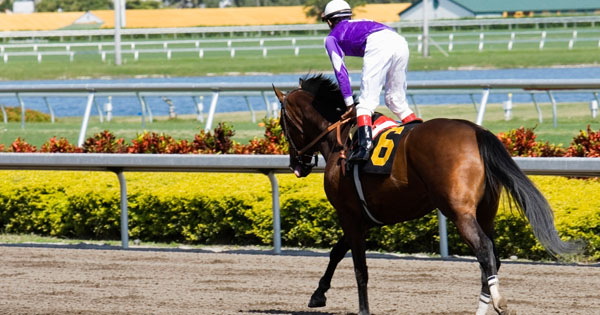 Racing away at The Croft in Bourne
