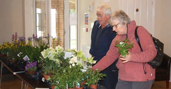 Plants Galore at the Croft
