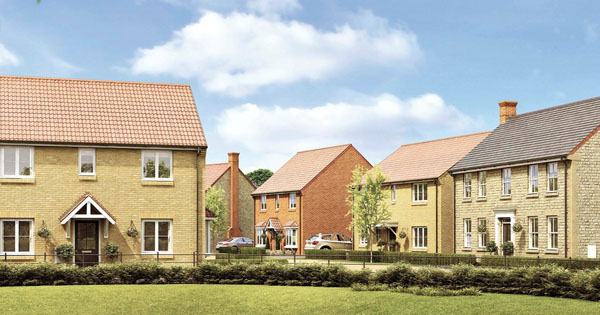 Thorney Meadows makes awards shortlist